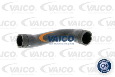 V401356 VAICO Трубка нагнетаемого воздуха