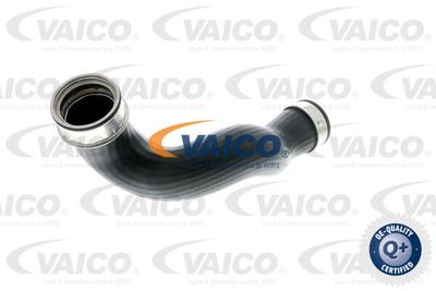 V301780 VAICO Трубка нагнетаемого воздуха