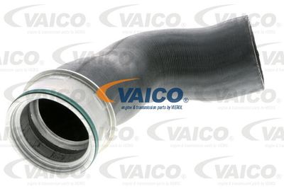 V103816 VAICO Трубка нагнетаемого воздуха