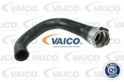 V401514 VAICO Трубка нагнетаемого воздуха
