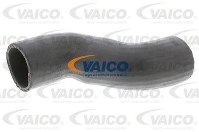 V480069 VAICO Трубка нагнетаемого воздуха