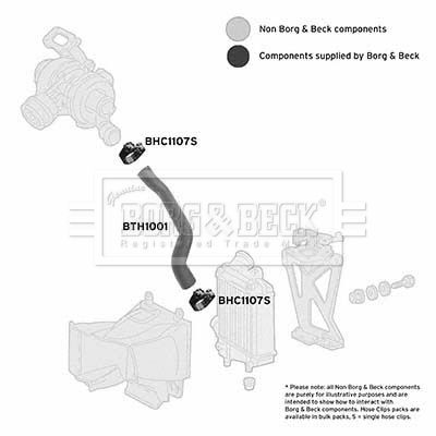 BTH1001 BORG & BECK Трубка нагнетаемого воздуха