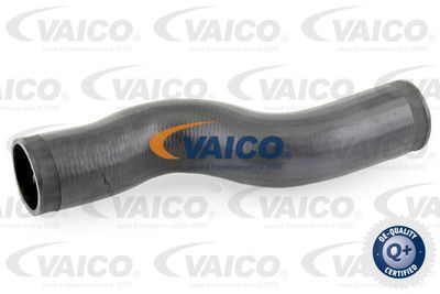 V103776 VAICO Трубка нагнетаемого воздуха