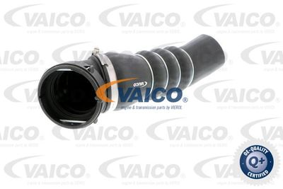 V201626 VAICO Трубка нагнетаемого воздуха