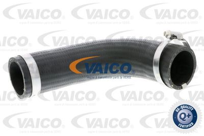 V250987 VAICO Трубка нагнетаемого воздуха