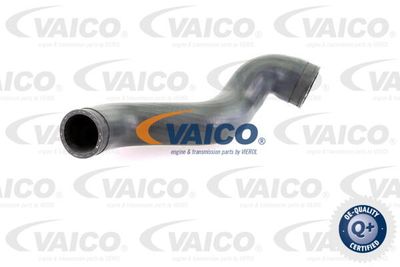 V104392 VAICO Трубка нагнетаемого воздуха