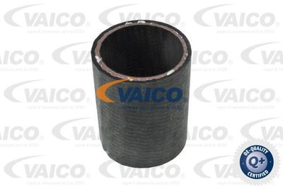 V480191 VAICO Трубка нагнетаемого воздуха