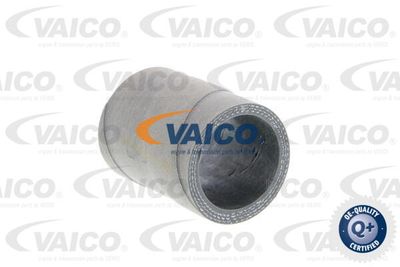V103759 VAICO Трубка нагнетаемого воздуха