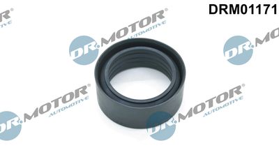 DRM01171 Dr.Motor Automotive Уплотнительное кольцо, трубка нагнетаемого воздуха