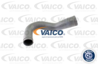 V401365 VAICO Трубка нагнетаемого воздуха