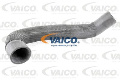 V103838 VAICO Трубка нагнетаемого воздуха