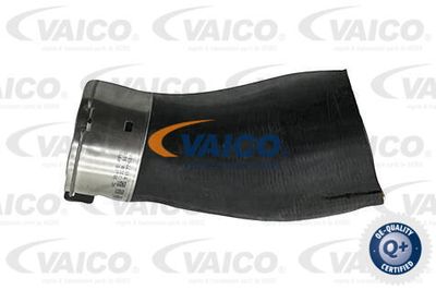 V204368 VAICO Трубка нагнетаемого воздуха
