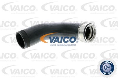 V102699 VAICO Трубка нагнетаемого воздуха