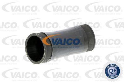 V102907 VAICO Трубка нагнетаемого воздуха