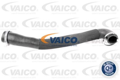 V251043 VAICO Трубка нагнетаемого воздуха