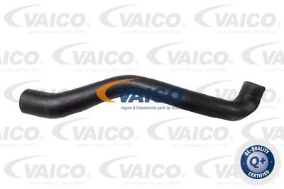 V204363 VAICO Трубка нагнетаемого воздуха