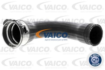 V104378 VAICO Трубка нагнетаемого воздуха