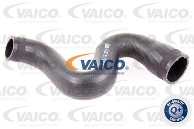 V102913 VAICO Трубка нагнетаемого воздуха