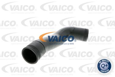 V102934 VAICO Трубка нагнетаемого воздуха