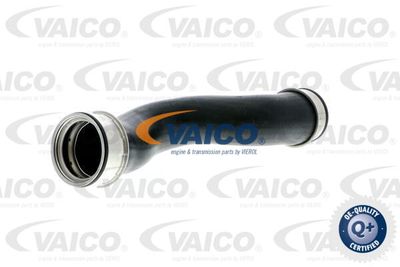V103208 VAICO Трубка нагнетаемого воздуха