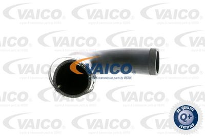 V102830 VAICO Трубка нагнетаемого воздуха
