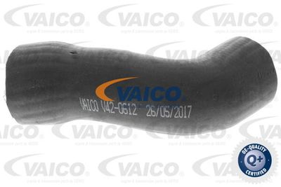 V420612 VAICO Трубка нагнетаемого воздуха