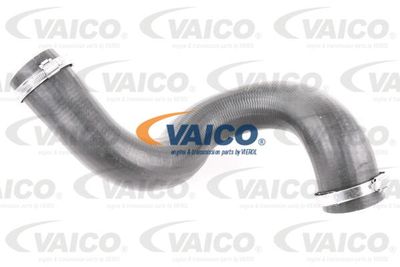 V420590 VAICO Трубка нагнетаемого воздуха