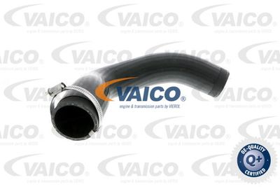 V301873 VAICO Трубка нагнетаемого воздуха