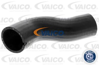 V240721 VAICO Трубка нагнетаемого воздуха
