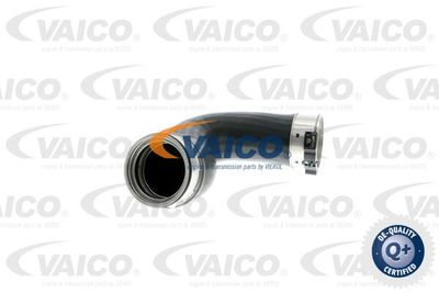 V301872 VAICO Трубка нагнетаемого воздуха