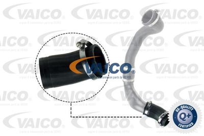 V480186 VAICO Трубка нагнетаемого воздуха