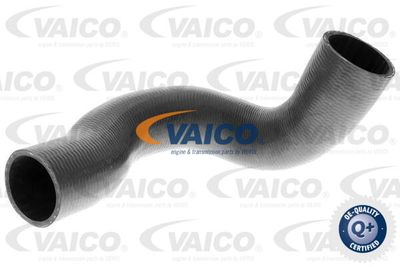 V950352 VAICO Трубка нагнетаемого воздуха
