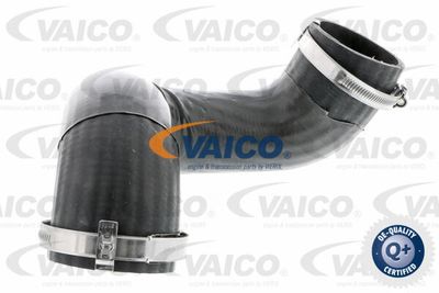 V103792 VAICO Трубка нагнетаемого воздуха