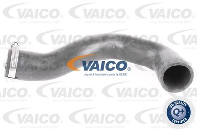 V401509 VAICO Трубка нагнетаемого воздуха