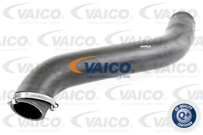V103781 VAICO Трубка нагнетаемого воздуха