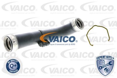 V105303 VAICO Трубка нагнетаемого воздуха