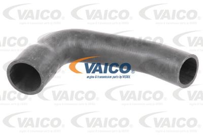 V240756 VAICO Трубка нагнетаемого воздуха