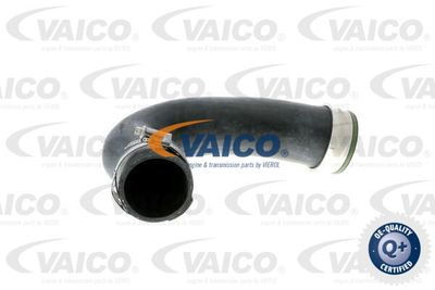 V301772 VAICO Трубка нагнетаемого воздуха