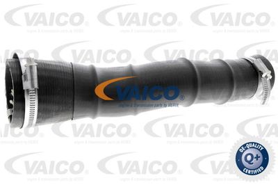 V251034 VAICO Трубка нагнетаемого воздуха