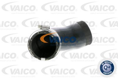 V102831 VAICO Трубка нагнетаемого воздуха