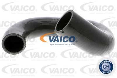 V240769 VAICO Трубка нагнетаемого воздуха
