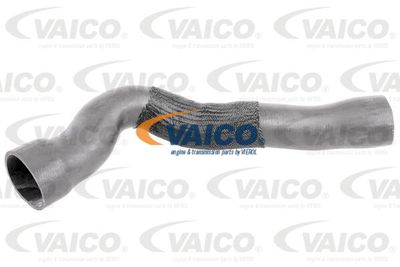 V302239 VAICO Трубка нагнетаемого воздуха