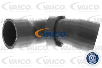 V420613 VAICO Трубка нагнетаемого воздуха