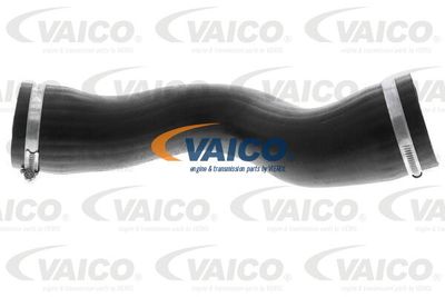 V103807 VAICO Трубка нагнетаемого воздуха