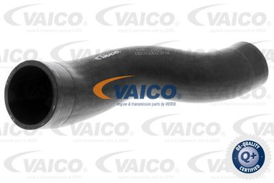 V302501 VAICO Трубка нагнетаемого воздуха