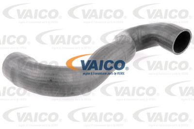 V420599 VAICO Трубка нагнетаемого воздуха