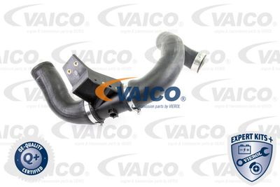 V302421 VAICO Трубка нагнетаемого воздуха