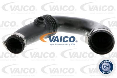 V460918 VAICO Трубка нагнетаемого воздуха