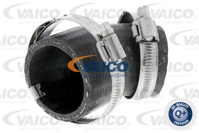 V103799 VAICO Трубка нагнетаемого воздуха