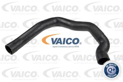 V240684 VAICO Трубка нагнетаемого воздуха